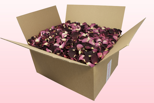 24 Litre Box Ruby Red Freeze Dried Rose Petals