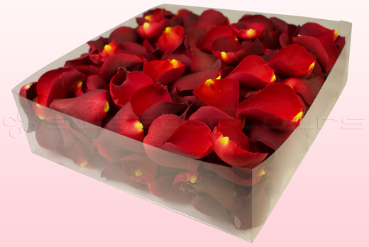 Confezione da 2 litri con petali di rosa liofilizzati di colore rosso chiaro.