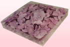 Final check freeze dried hydrangea petals  1 litre box  lilac  sweet colours