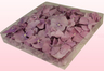 1 litre box with lilac freeze dried hydrangea petals