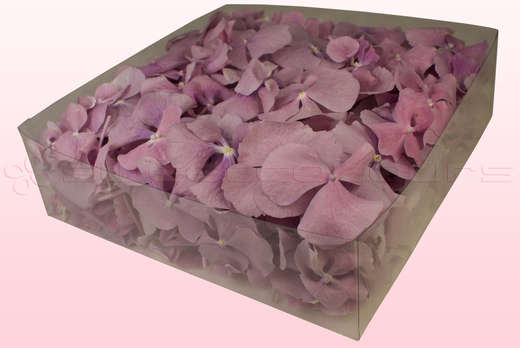 2 litre box with lilac freeze dried hydrangea petals