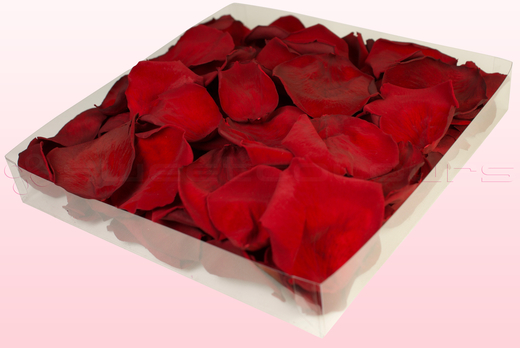 Emballage 1 litre pétales de roses conservés couleur rouge foncé