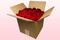 8 Liter Karton konservierte Rosenblätter in der Farbe Dunkelrot