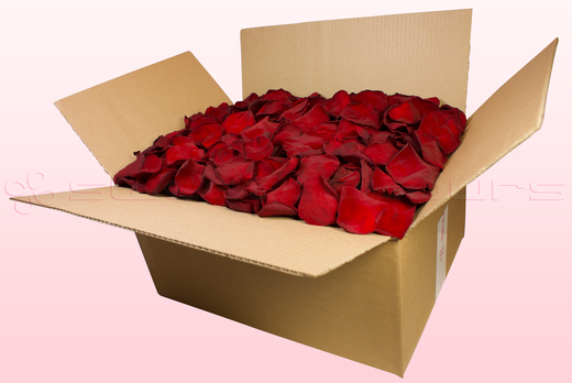 Caja de 24 litros con pétalos de rosa preservados de color rojo oscuro. 