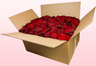 Boîte de 24 litres pétales de roses conservés couleur rouge foncé