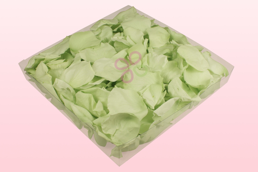 1 Liter Verpackung Konservierte Rosenblätter in der Farbe Grün