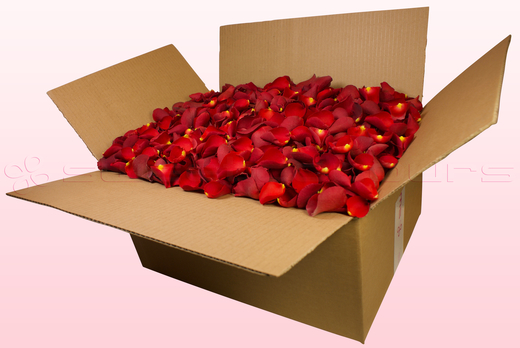 Caja de 24 litros con pétalos de rosa liofilizados de color rojo claro.  