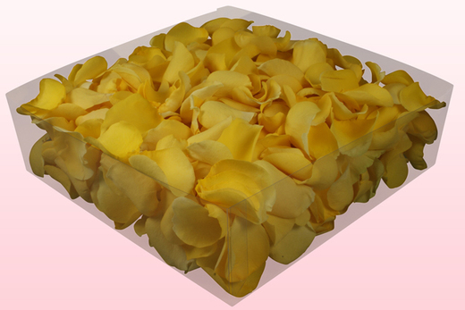 Confezione da 2 litri con petali di rosa liofilizzati di colore giallo chiaro. 