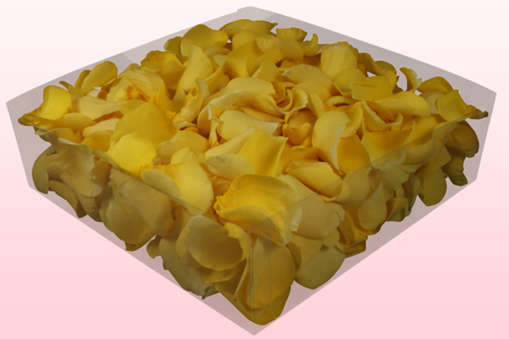 Freeze dried rose petals Light yellow