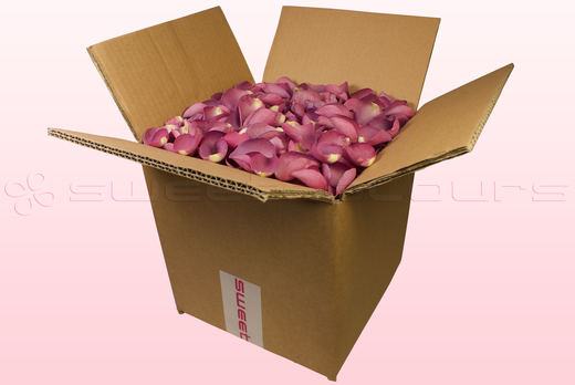 Confezione da 8 litri con petali di rosa liofilizzati di colore lampone. 
