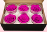 6 Preserved Rose Heads, Deep Pink-White, Size XL
