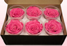 6 Preserved Rose Heads, Dark Pink-White, Size XL
