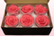 6 Preserved Rose Heads, Salmon Pink-White, Size XL
