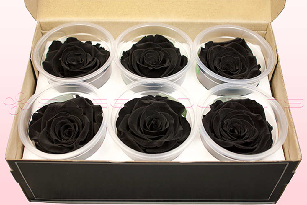 Preserved roses Black