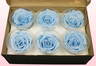 6 Preserved Rose Heads, Light Blue, Size L
