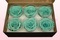 6 Geconserveerde Rozenkoppen, Turquoise, Maat XL