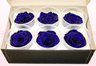 6 Rosas Sin Tallo Preservadas, Azul oscuro, Tamaño L