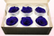 6 Geconserveerde Rozenkoppen Donkerblauw, Maat L