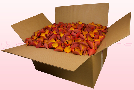 Caja de 24 litros con pétalos de rosa liofilizados de color naranja-amarillo.  