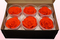6 Geconserveerde Rozenkoppen, Oranje, Maat XL