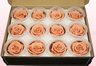 12 Preserved Rose heads, Peach, Size M
