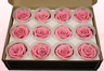 12 Preserved Rose Heads, Light Pink, Size M
