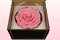 1 Preserved Rose, Light Pink, Size XXL
