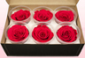 6 Têtes De Roses Conservées, Cerise Foncé, Taille XL