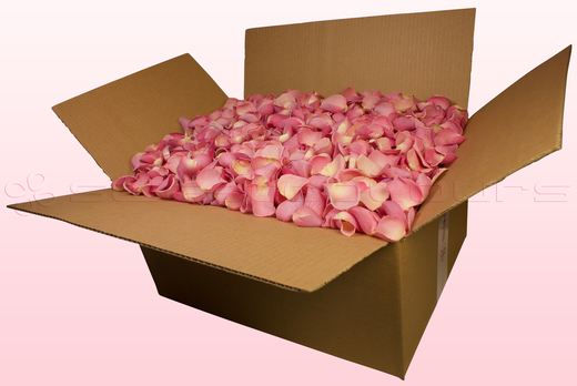 Caja de 24 litros con pétalos de rosa liofilizados de color rosa bébé.  