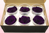 6 konservierte Rosenköpfe, Violett, Größe L