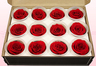 12 konservierte Rosenköpfe, Rot, Größe M