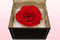 1 konservierte Rose, Rot, Größe XXL