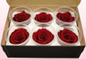 6 Preserved Rose Heads, Dark Red, Size L
