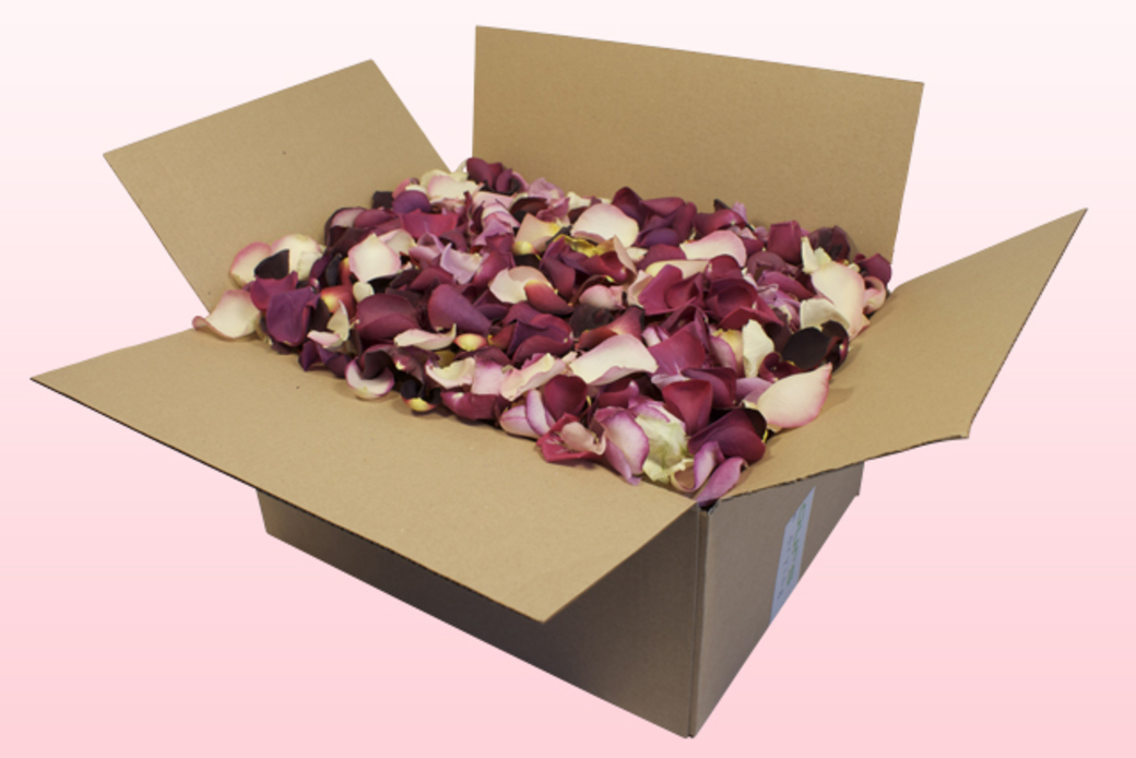 Freeze dried rose petals BChoice mixed