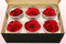 6 Têtes De Roses Conservées, Rouge-Noir, Taille XL