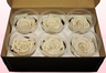6 Preserved Rose Heads, Off White, Size L
