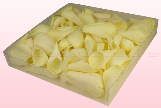 1 Litre Box With Freeze Dried Off White Rose Petals