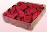2 Liter Verpackung mit konservierten Rosenblättern in der Farbe Kirsche