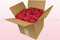 Confezione da 8 litri con petali di rosa stabilizzata di colore ciliegia