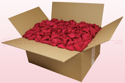 24 Liter Karton mit konservierten Rosenblättern in der Farbe Kirsche
