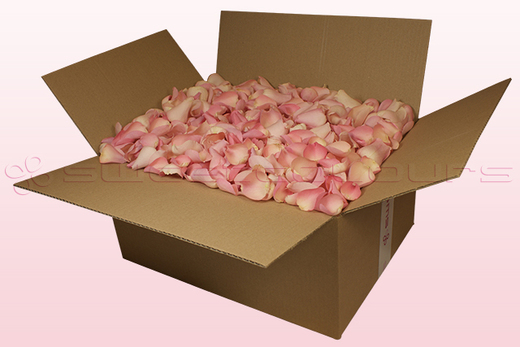 Caja de 24 litros con pétalos de rosa liofilizados de color rosa pálido
