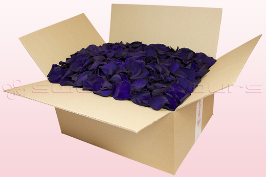24 Liter Karton mit konservierten Rosenblättern in der Farbe Violett