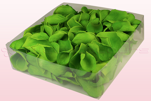 2 litre box with light green preserved rose petals