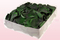 Confezione da 2 litri con petali di rosa stabilizzata di colore verde scuro
