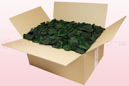 Caja de 24 litros con pétalos de rosa preservados de color verde oscuro