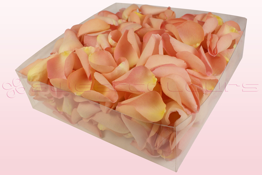 2 Liter Verpackung mit gefriergetrockneten Rosenblättern in der Farbe Pfirsich