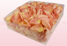 2 litre Box Peach Colored Freeze Dried Rose Petals
