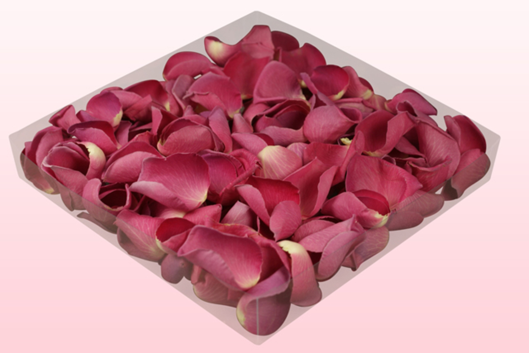 Freeze dried rose petals Classic pink