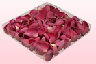 Final check 1 litre box freeze dried dusky pink rose petals
