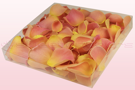 Emballage 1 litre de pétales de roses lyophilisés couleur rose et pêche